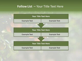 Orange Sweet Leaves PowerPoint Template