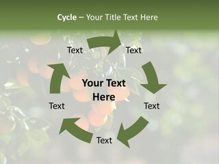 Orange Sweet Leaves PowerPoint Template