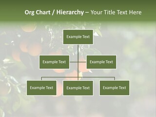 Orange Sweet Leaves PowerPoint Template