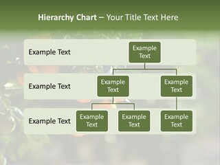 Orange Sweet Leaves PowerPoint Template