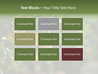 Orange Sweet Leaves PowerPoint Template