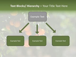 Orange Sweet Leaves PowerPoint Template