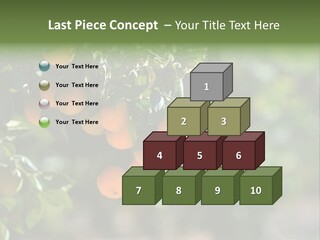 Orange Sweet Leaves PowerPoint Template