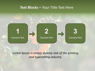 Orange Sweet Leaves PowerPoint Template