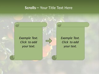 Orange Sweet Leaves PowerPoint Template