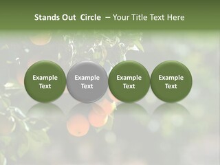 Orange Sweet Leaves PowerPoint Template