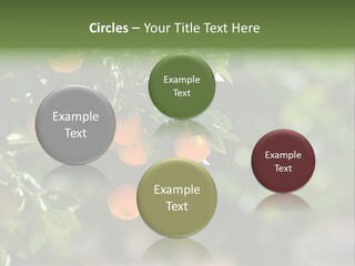 Orange Sweet Leaves PowerPoint Template