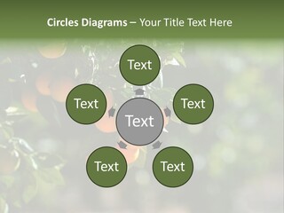 Orange Sweet Leaves PowerPoint Template