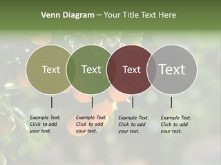 Orange Sweet Leaves PowerPoint Template