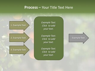 Orange Sweet Leaves PowerPoint Template