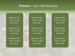 Orange Sweet Leaves PowerPoint Template
