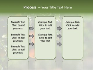 Orange Sweet Leaves PowerPoint Template