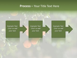 Orange Sweet Leaves PowerPoint Template