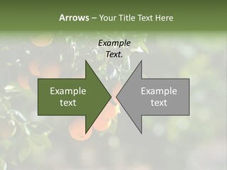 Orange Sweet Leaves PowerPoint Template