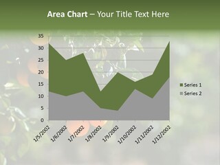 Orange Sweet Leaves PowerPoint Template