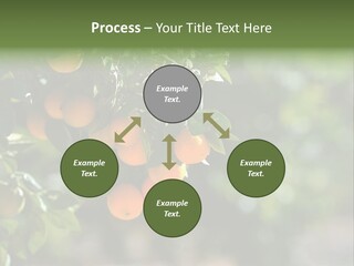 Orange Sweet Leaves PowerPoint Template