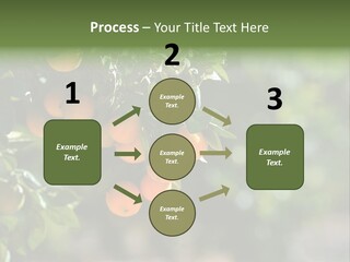 Orange Sweet Leaves PowerPoint Template