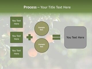 Orange Sweet Leaves PowerPoint Template