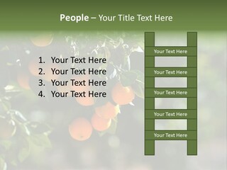 Orange Sweet Leaves PowerPoint Template