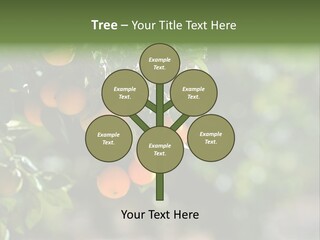 Orange Sweet Leaves PowerPoint Template