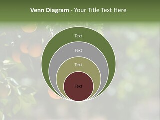 Orange Sweet Leaves PowerPoint Template