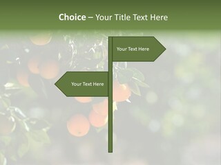 Orange Sweet Leaves PowerPoint Template