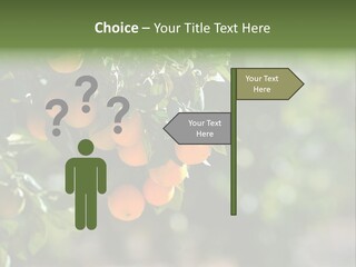 Orange Sweet Leaves PowerPoint Template