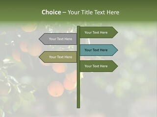 Orange Sweet Leaves PowerPoint Template