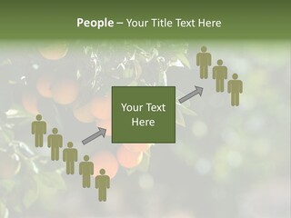 Orange Sweet Leaves PowerPoint Template