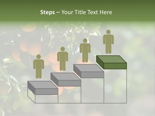 Orange Sweet Leaves PowerPoint Template