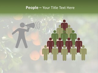 Orange Sweet Leaves PowerPoint Template