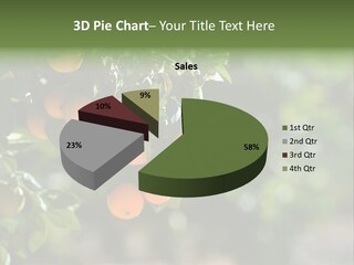 Orange Sweet Leaves PowerPoint Template