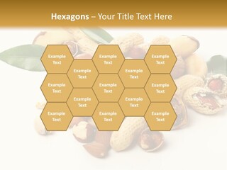 Group Closeup Nutrition PowerPoint Template