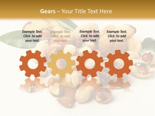 Group Closeup Nutrition PowerPoint Template