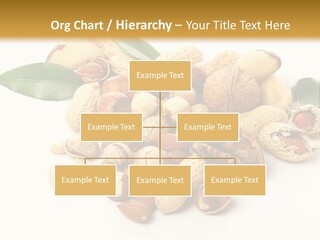 Group Closeup Nutrition PowerPoint Template