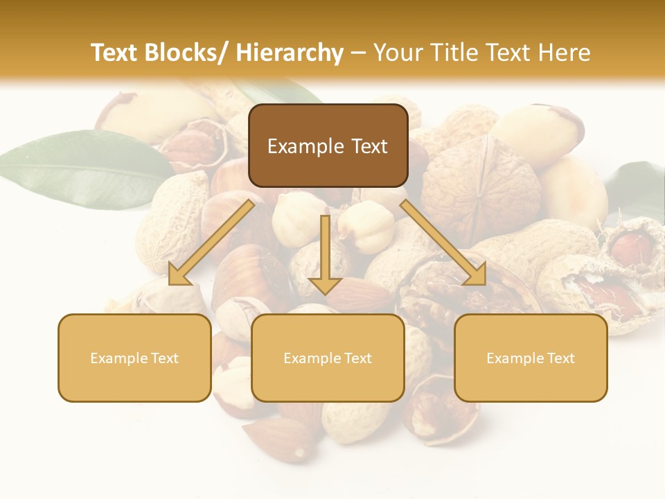 Group Closeup Nutrition PowerPoint Template