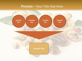 Group Closeup Nutrition PowerPoint Template