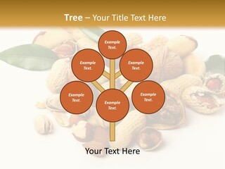 Group Closeup Nutrition PowerPoint Template