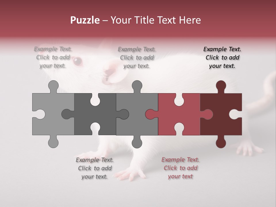 Pet Rodent Pest PowerPoint Template