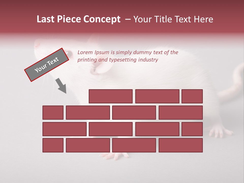 Pet Rodent Pest PowerPoint Template