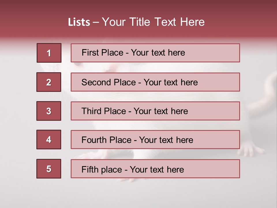 Pet Rodent Pest PowerPoint Template