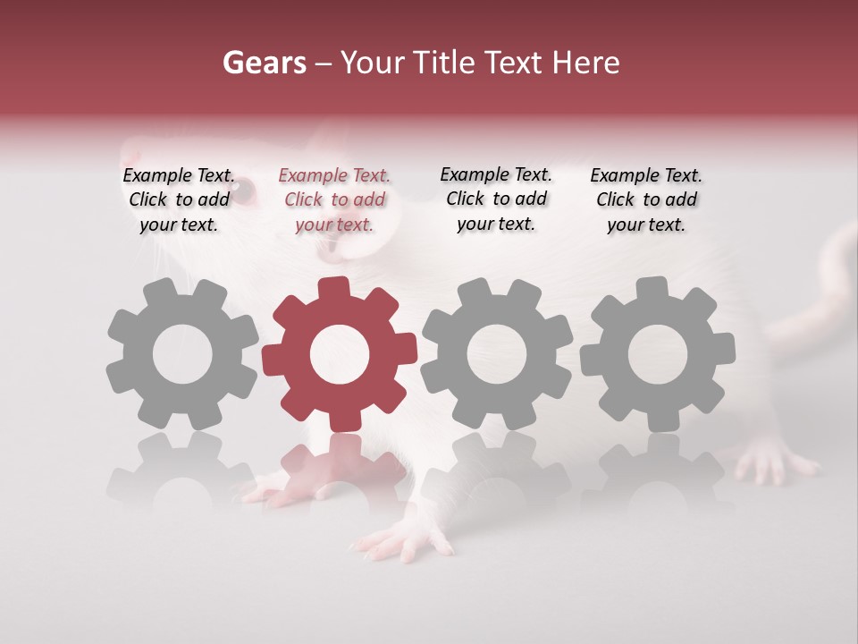 Pet Rodent Pest PowerPoint Template