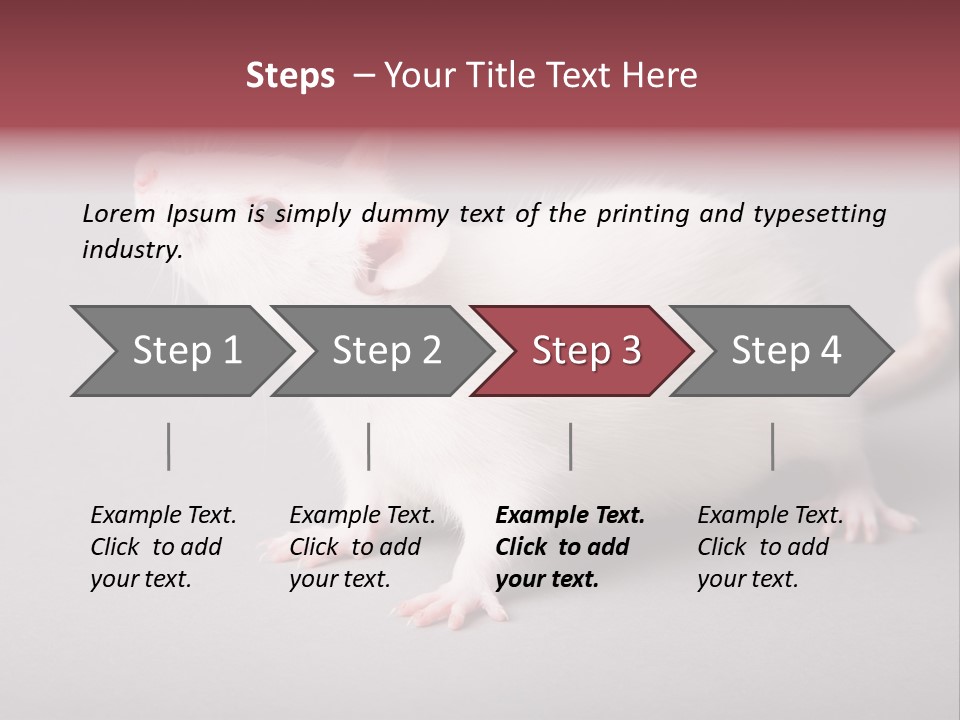 Pet Rodent Pest PowerPoint Template