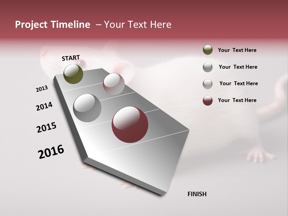 Pet Rodent Pest PowerPoint Template