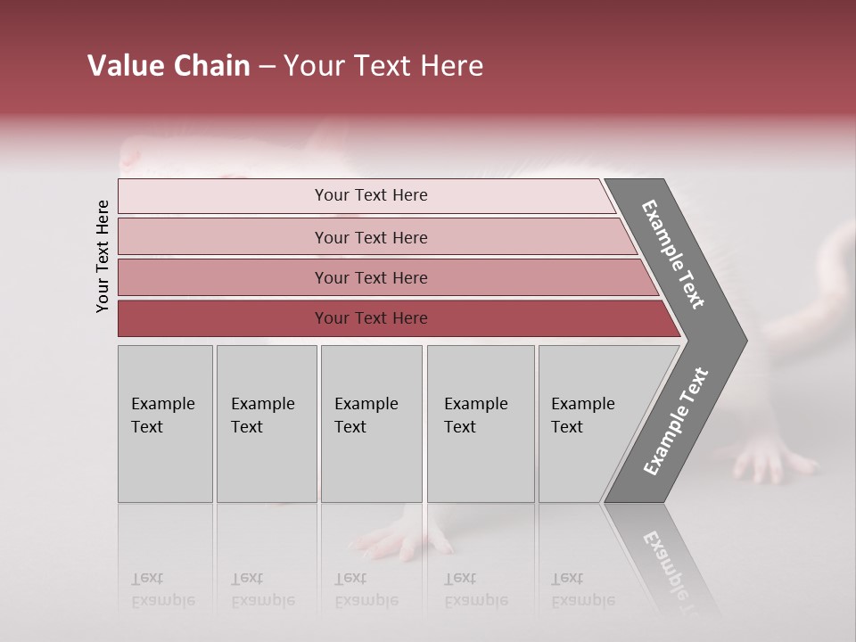 Pet Rodent Pest PowerPoint Template