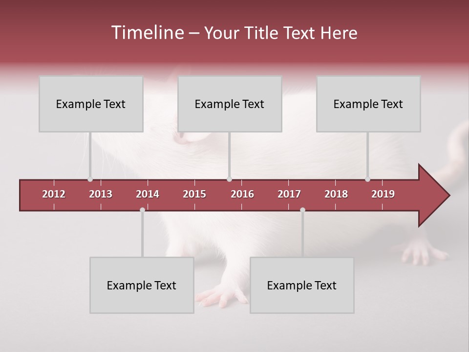 Pet Rodent Pest PowerPoint Template