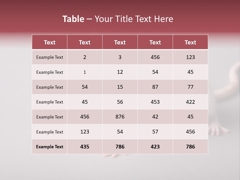 Pet Rodent Pest PowerPoint Template