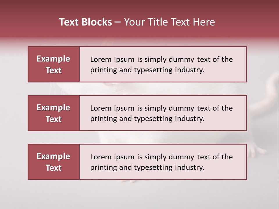 Pet Rodent Pest PowerPoint Template