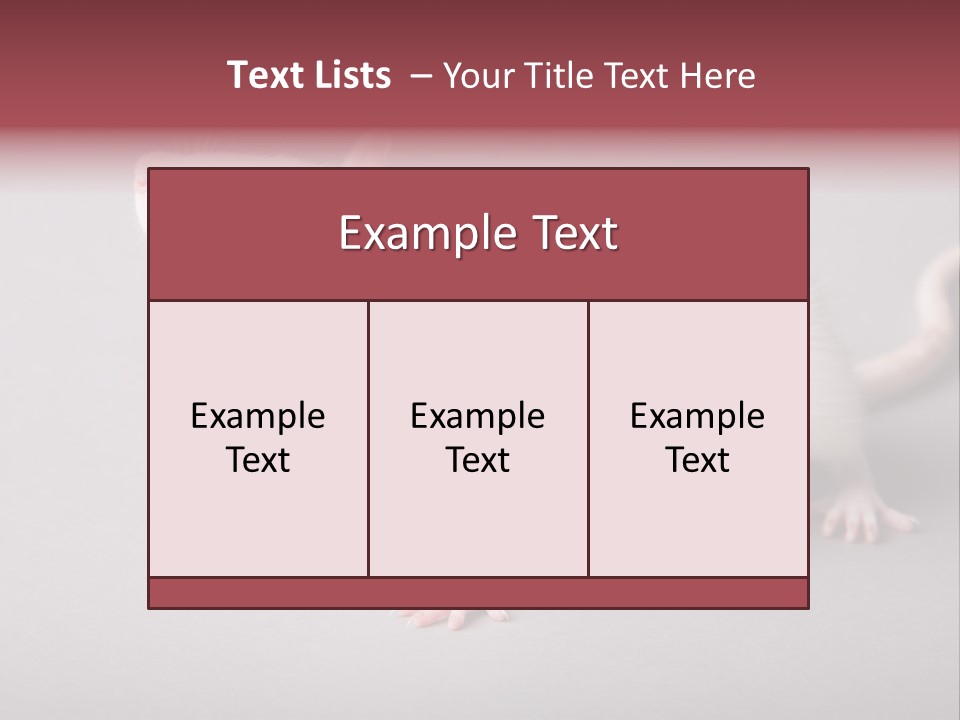 Pet Rodent Pest PowerPoint Template