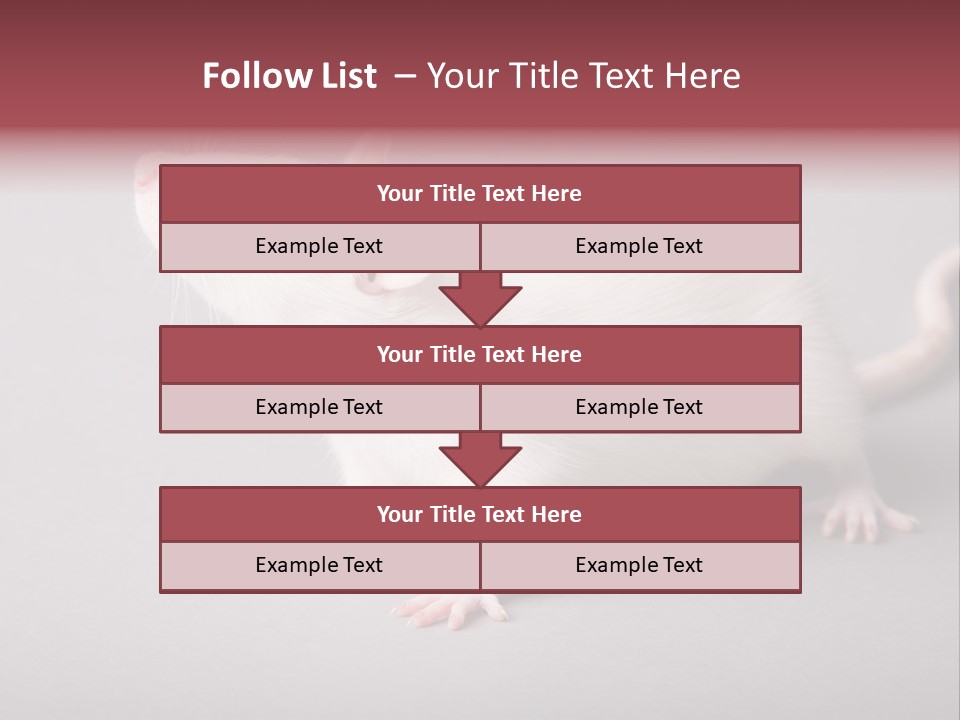 Pet Rodent Pest PowerPoint Template